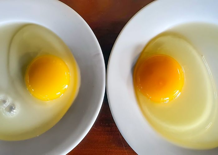 Nên ăn trứng luộc và hạn chế các loại trứng chiên qua dầu mỡ