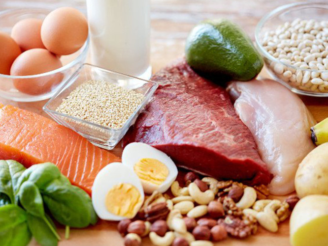 Thức ăn giàu chất sắt và protein