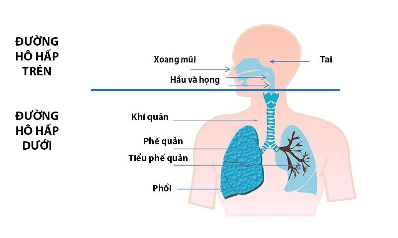 viêm đường hô hấp