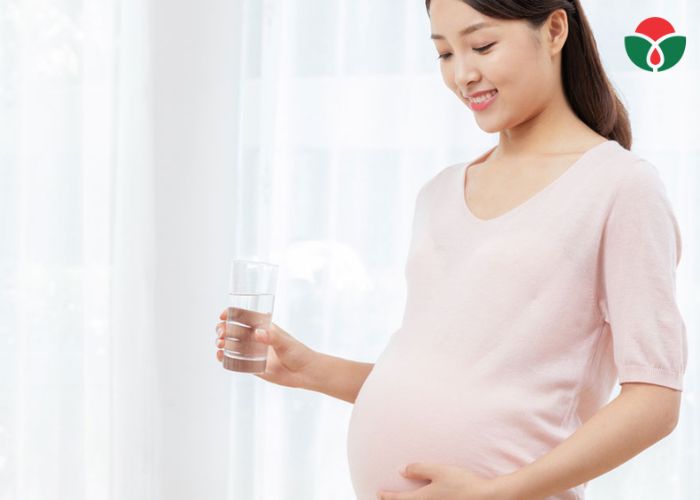 Men vi sinh enterogermina giúp nâng cao hệ miễn dịch cho mẹ bầu
