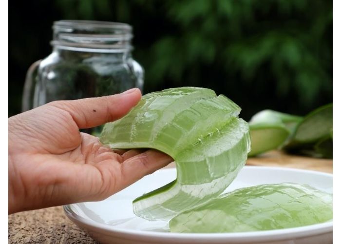 null Cách tẩy nốt ruồi tại nhà bằng nha đam