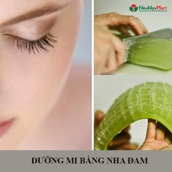 Bật Mí Cách Dưỡng Mi Bằng Nha Đam Dài Và Cong Thần Tốc