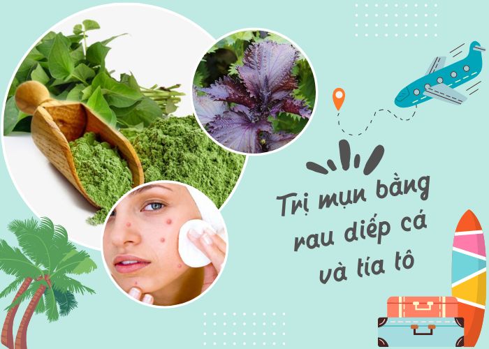 Bí kíp trị mụn bằng rau diếp cá và tía tô hiệu quả nhất