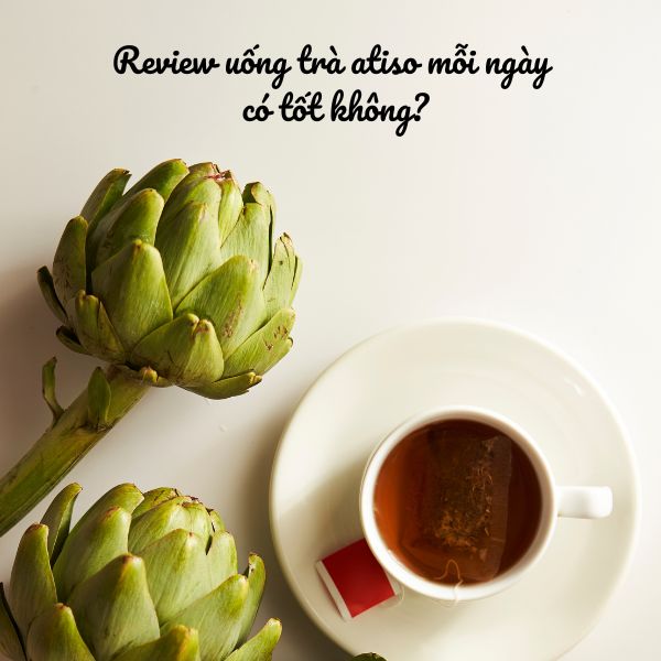 Review uống trà atiso mỗi ngày có tốt không?