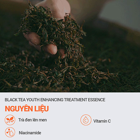 Nước dưỡng Innisfree Black tea Youth Enhancing Treatment Essence 75ml