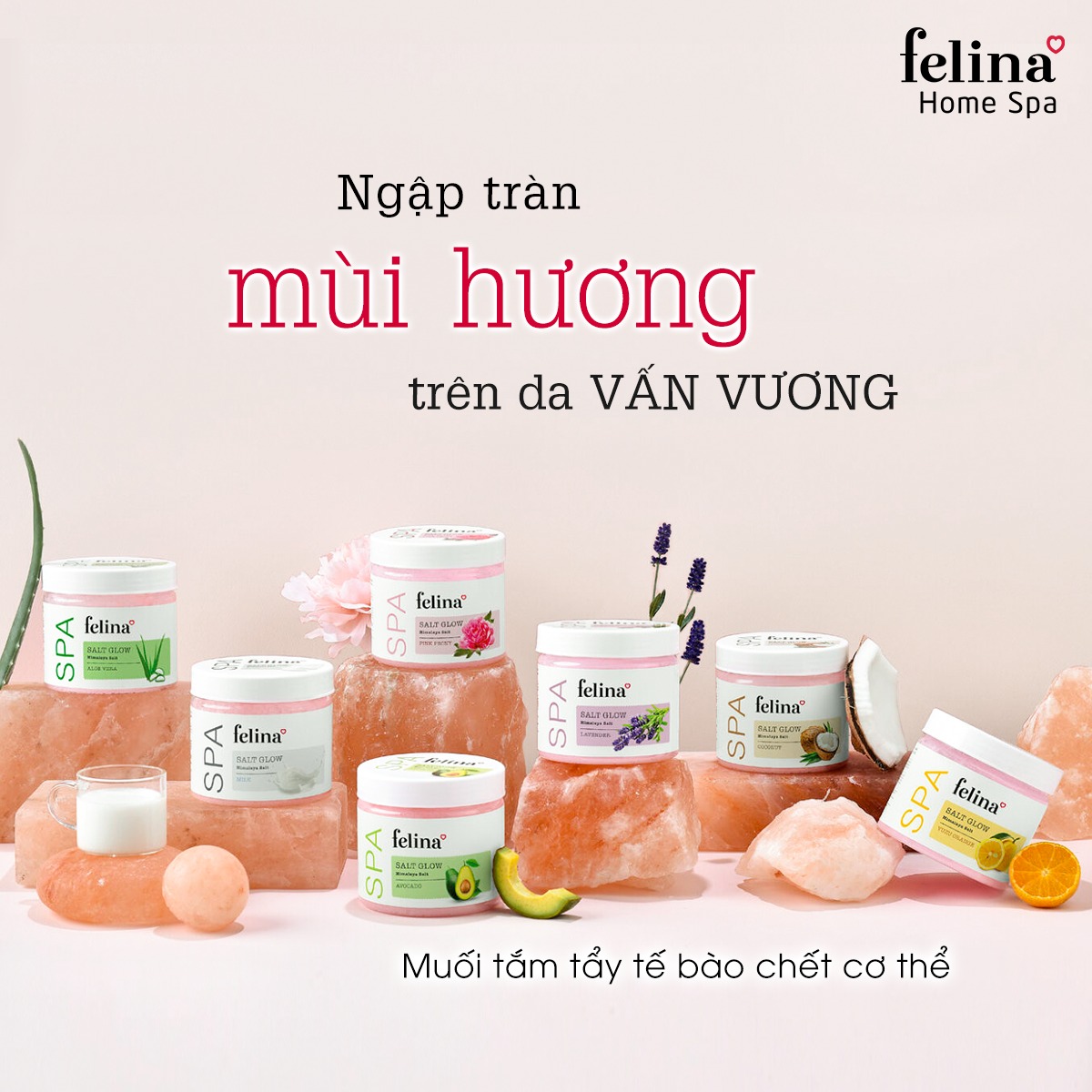 Review tẩy tế bào chết Felina có tốt không? Ưu - Nhược điểm