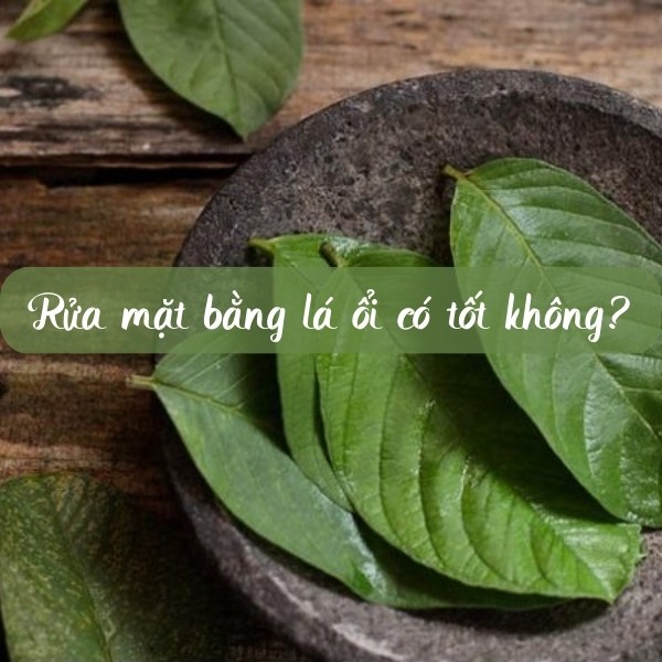 Rửa mặt bằng lá ổi có tốt không? Nước lá ổi có thực sự giúp trị mụn? 