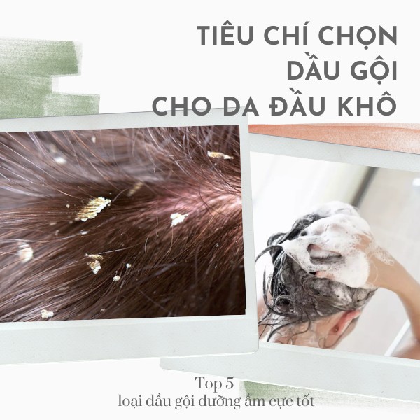 Tiêu chí chọn dầu gội cho da đầu khô - Top 5 loại dầu gội dưỡng ẩm cực tốt